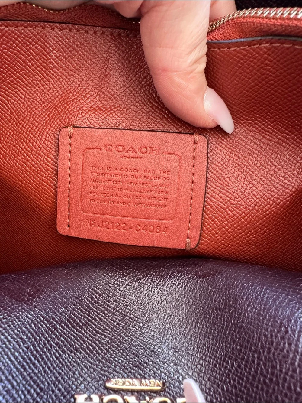 Coach Pebble Leather 2021 Mollie tote small